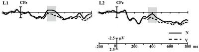 Mandarin Chinese L1 and L2 complex sentence reading reveals a consistent electrophysiological pattern of highly interactive syntactic and semantic processing: An ERP study